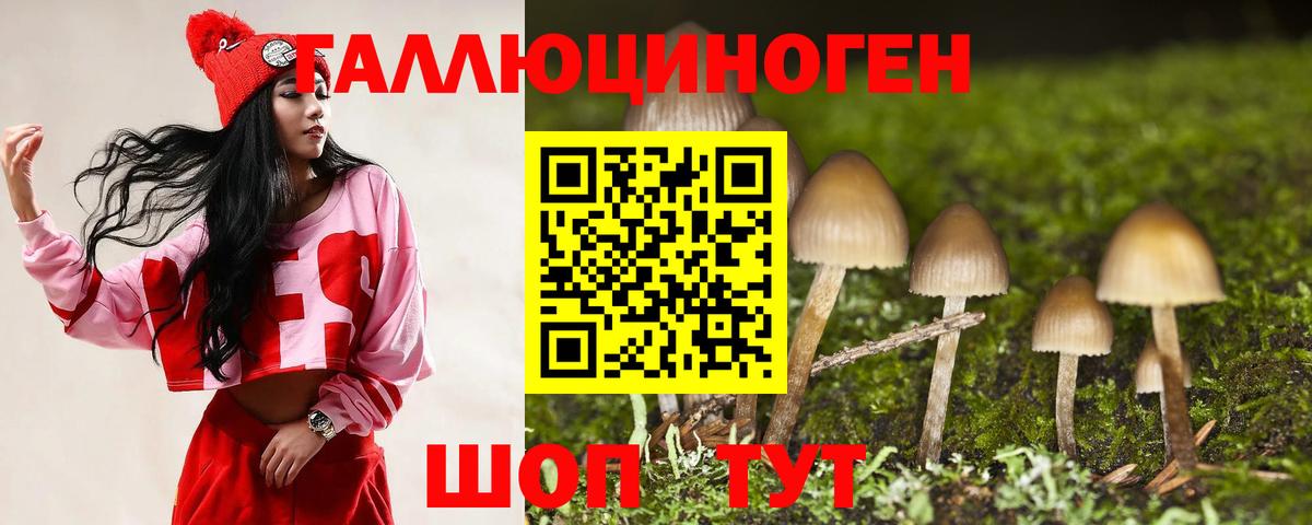 Галлюциногенные грибы GOLDEN TEACHER Орск