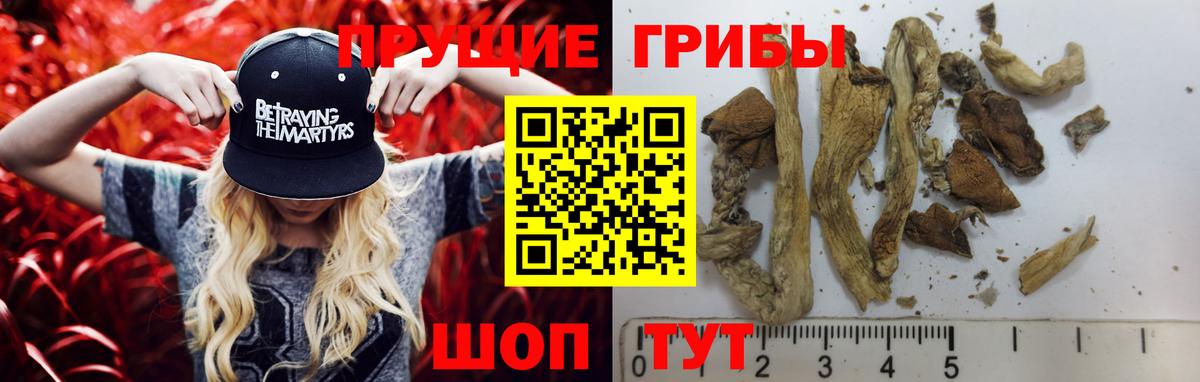 Орск  Галлюциногенные грибы Magic Shrooms  купить   Вход с VPN 